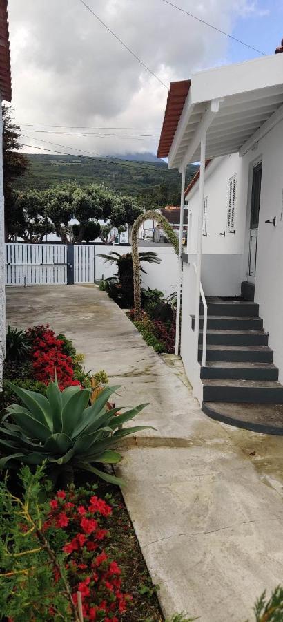 Casa Da Avo Biza Villa São Roque do Pico Dış mekan fotoğraf